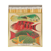 Archivist Šibice Fish