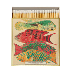 Archivist Šibice Fish