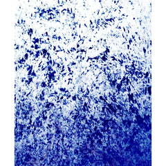 A Fan Of Lepeza Blues Splash