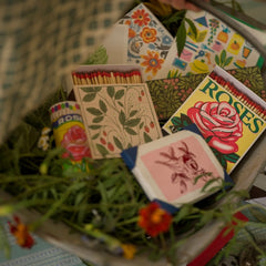 Archivist Šibice Red Rose