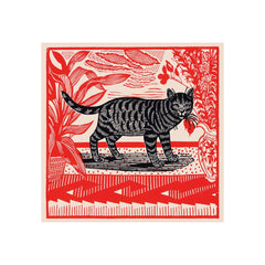 Archivist Šibice Sasha The Cat