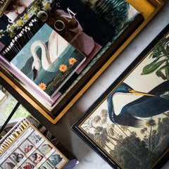 Archivist Šibice XXL Louisiana